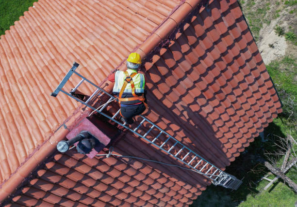 Best Roof Moss and Algae Removal  in Versailles, MO