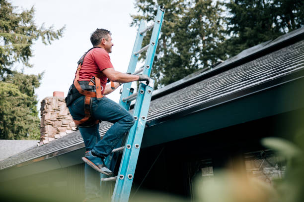 Best 4 Ply Roofing  in Versailles, MO