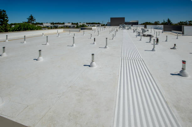 Best Solar Panel Roofing Installation  in Versailles, MO